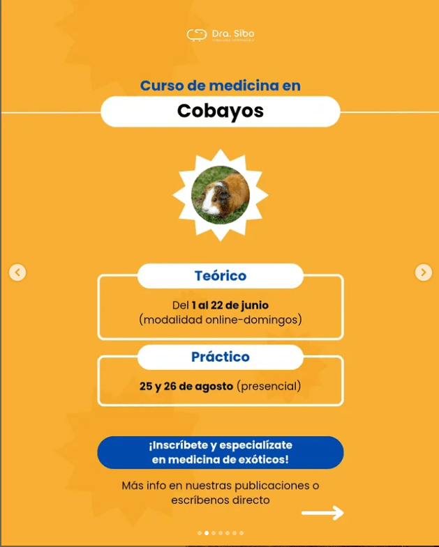 Corrección Dental en Chinchilla