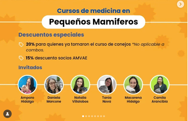 Odontología en Mascotas No Convencionales