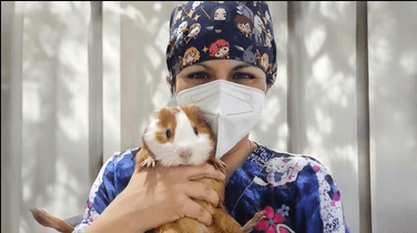 Dra. Siboney Pérez cirujano veterinario especialista en animales exóticos, conejos, hurones y chinchillas en Chile